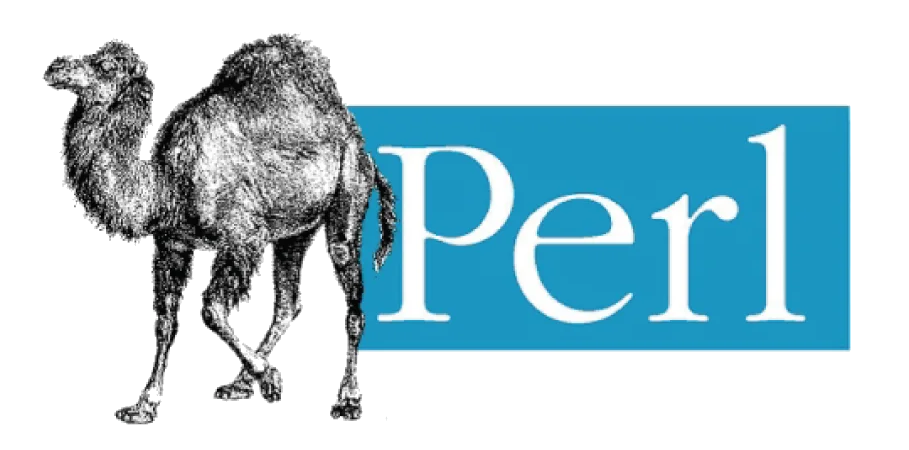 PERL_Regex